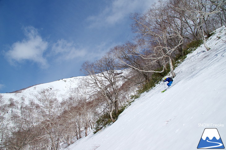 ニセコアンヌプリ国際スキー場 beautiful spring day!!